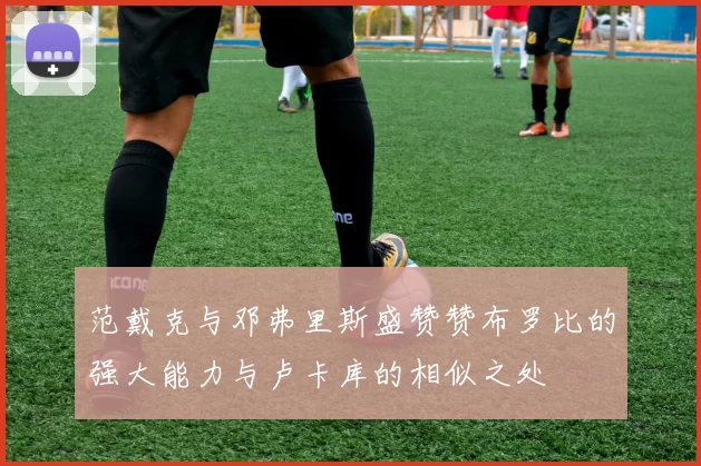 范戴克与邓弗里斯盛赞赞布罗比的强大能力与卢卡库的相似之处