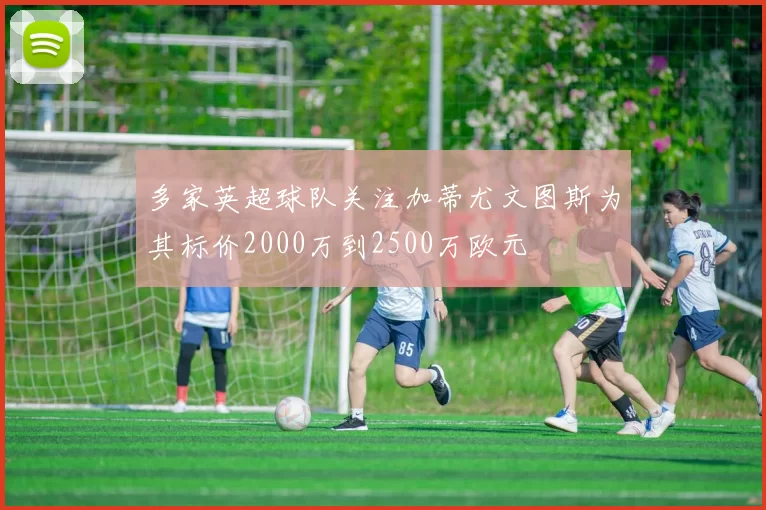多家英超球队关注加蒂尤文图斯为其标价2000万到2500万欧元