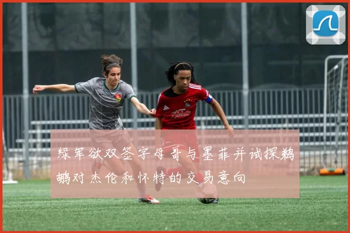 绿军欲双签字母哥与墨菲并试探鹈鹕对杰伦和怀特的交易意向