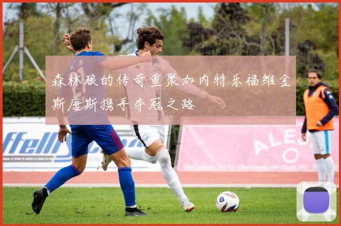 森林狼的传奇重聚加内特乐福维金斯唐斯携手夺冠之路